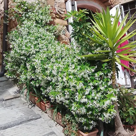 Al Tuffatore Etrusco كامبيليا ماريتيما